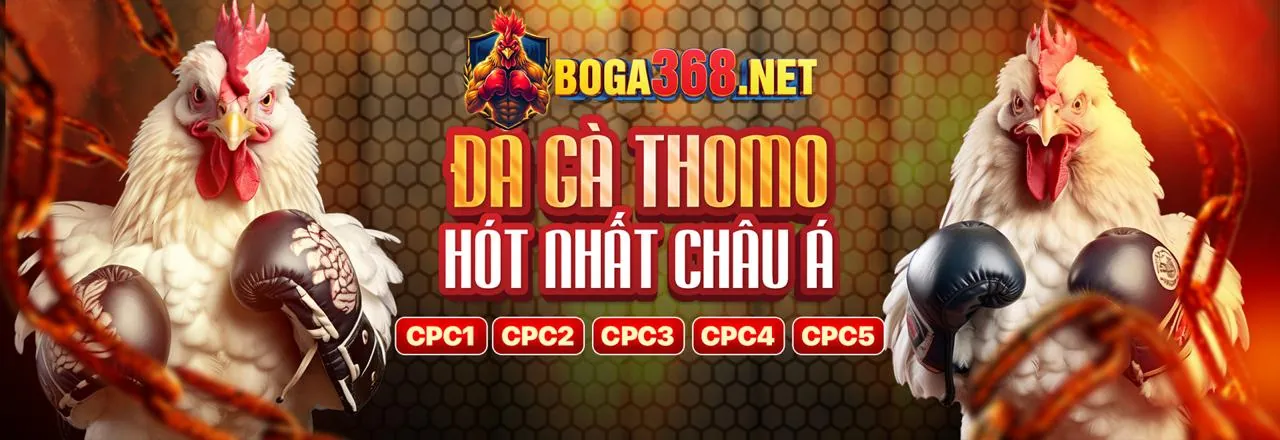 Đá gà trực tuyến s66632 nhà cái
